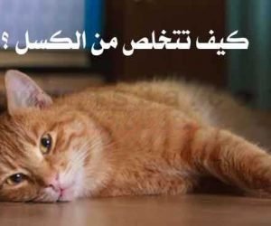 كيف تقضى على الكسل والخمول والارهاق الدائم خطوات اساسية تعرف عليها