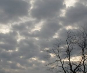 كيف تحفظ القرأن الكريم بصورة عامة لجميع الناس بخطوات رائعة وبسيطة جدا