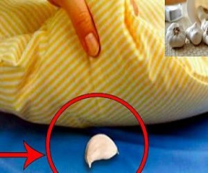 وضع حبات الثوم اسفل الوساده يوميا قبل النوم تعرف الان ماذا يحدث