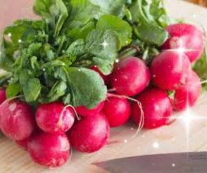 فوائد الفجل الصحية والعلاجية وتاثيرها علي الجسسم والبشرة بطريقة سريعة