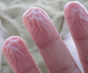 تسعة آليات دفاع يقوم بها جسمك لحمايتك دون أن تشعر تعرف عليها الان