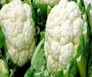 أطعمة غنية بالألياف ومضادات الأكسدة لحماية الجسم من الأمراض المزمنة