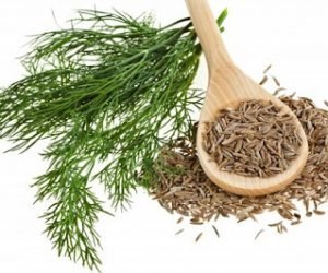 ما هي فوائد الكراوية وكيف يمكن استخدامها في علاج كثير من الأمراض المزمنة وغير المزمنة