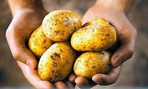 تسلمنا 10 آلاف طن من التجار الشرفاء