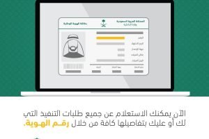 استعلام عن طلب تنفيذ برقم الهوية (طالب التنفيذ