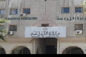 وزارة الزراعة تعلن عن مهلة وإجراءات حديثة بعد تفعيل كارت الفلاح الذكي