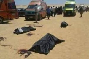 وزراء الري والطيران والزراعة ينعون شهداء حادث المنيا الإرهابي