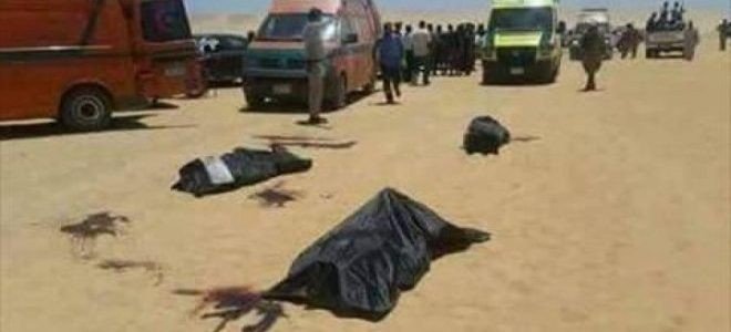 وزراء الري والطيران والزراعة ينعون شهداء حادث المنيا الإرهابي